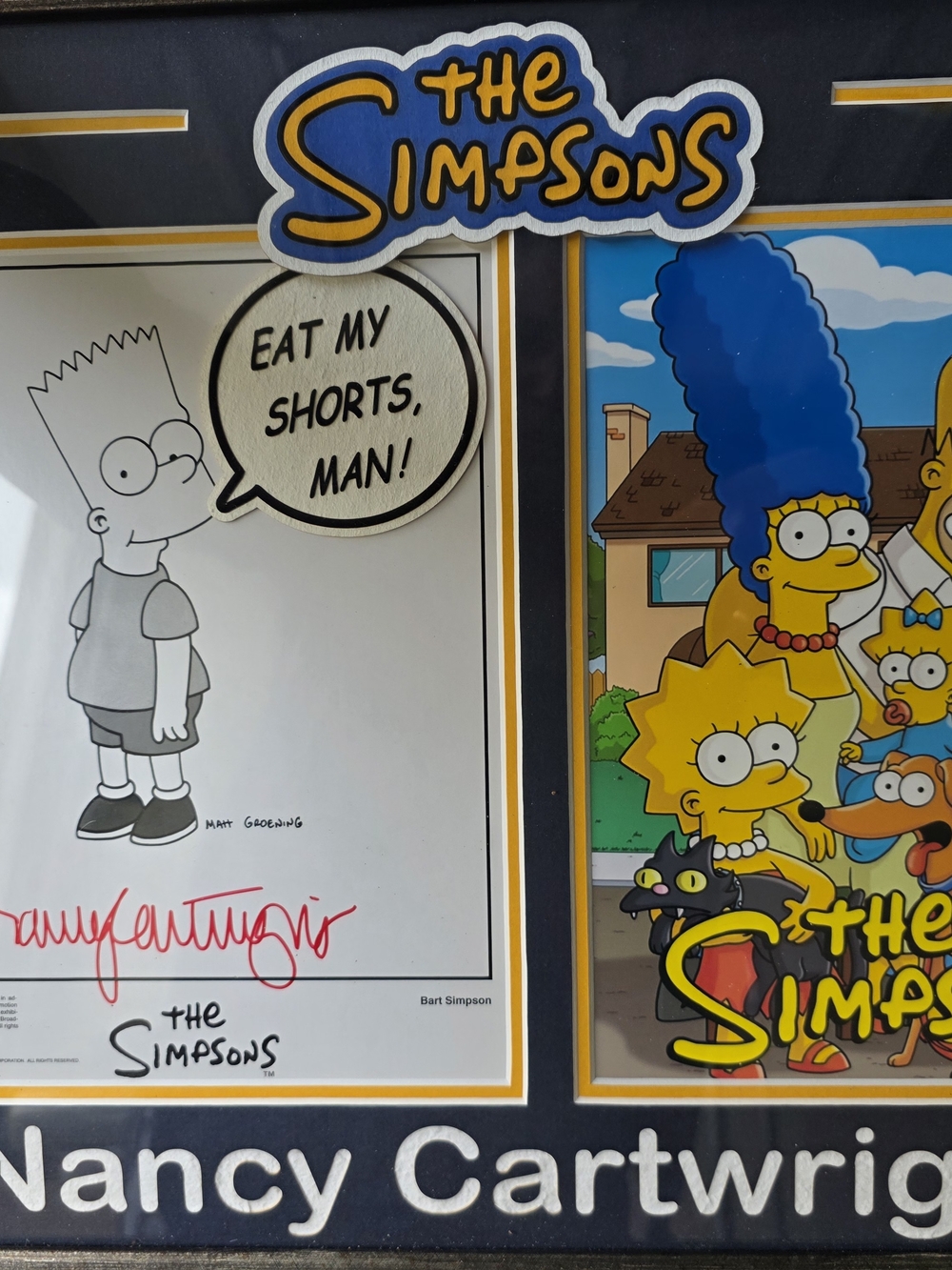 The Simpsons Framed Art Print - Yellow & Blue Signed Nancy Cartwright Collectors